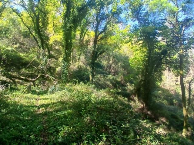 Terreno venda em Arcos De Valdevez, Viana Do Castelo