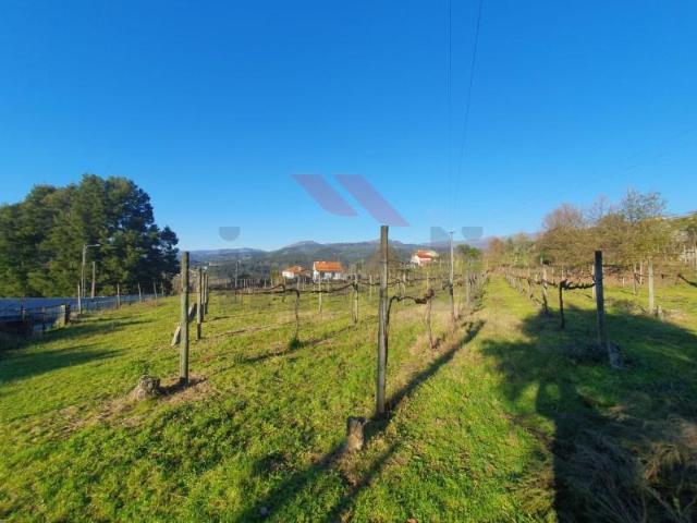 Terreno venda em Arcos De Valdevez, Viana Do Castelo