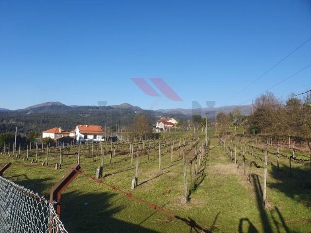 Terreno venda em Arcos De Valdevez, Viana Do Castelo