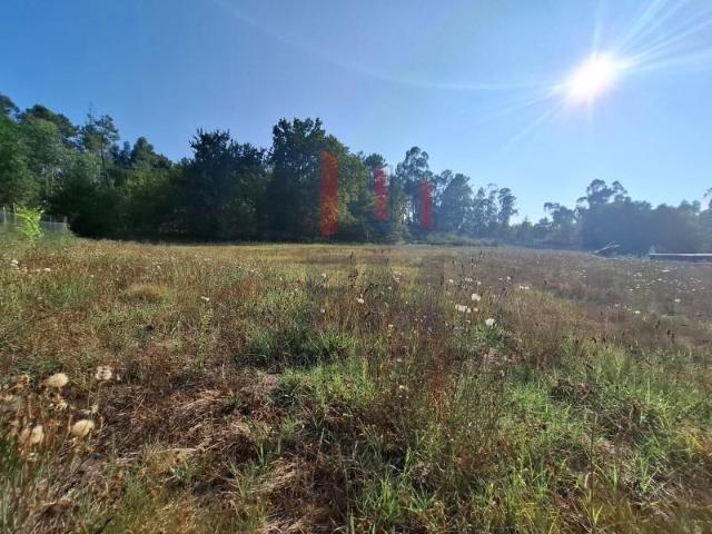 Terreno venda em Arcos De Valdevez, Viana Do Castelo