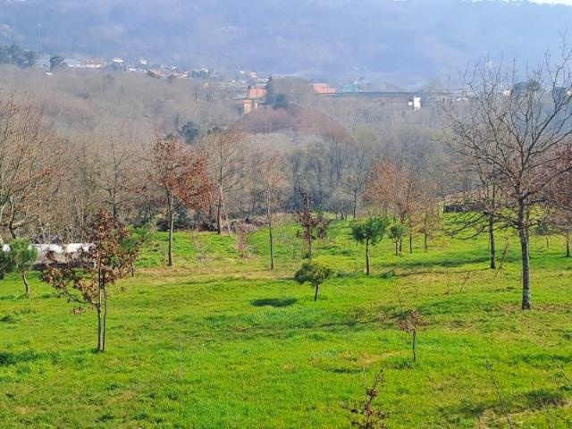 Terreno venda em Arcos De Valdevez, Viana Do Castelo