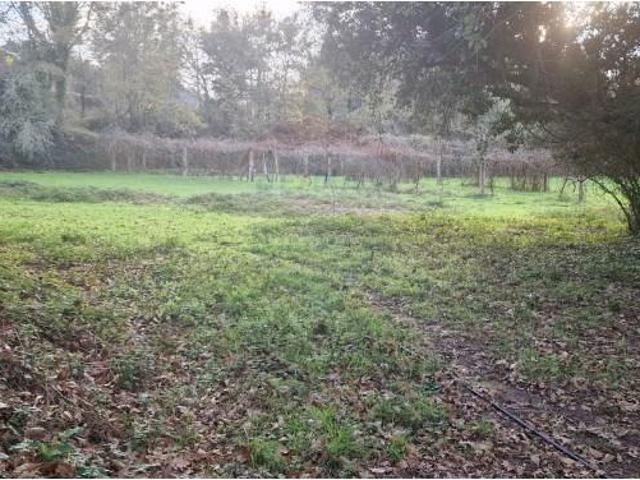 Terreno venda em Arcos De Valdevez, Viana Do Castelo