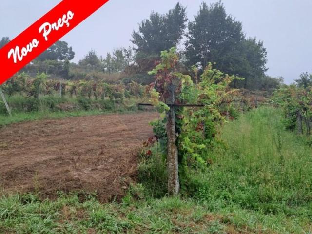 Terreno venda em Arcos De Valdevez, Viana Do Castelo