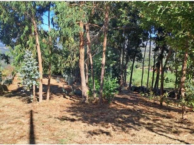 Terreno venda em Arcos De Valdevez, Viana Do Castelo