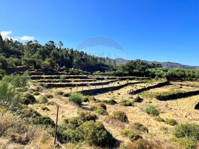 Terreno venda em Arcos De Valdevez, Viana Do Castelo