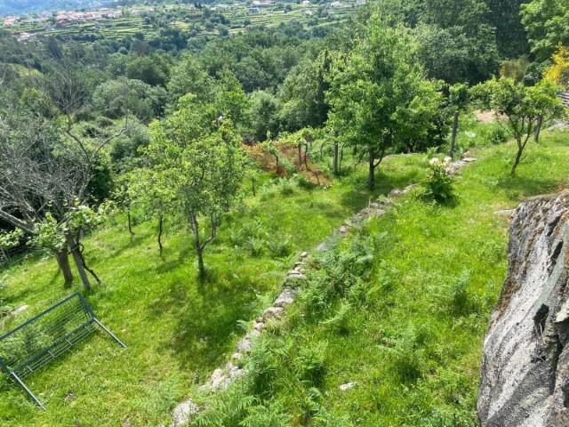Terreno venda em Arcos De Valdevez, Viana Do Castelo