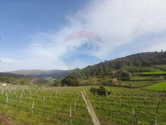 Terreno venda em Arcos De Valdevez, Viana Do Castelo