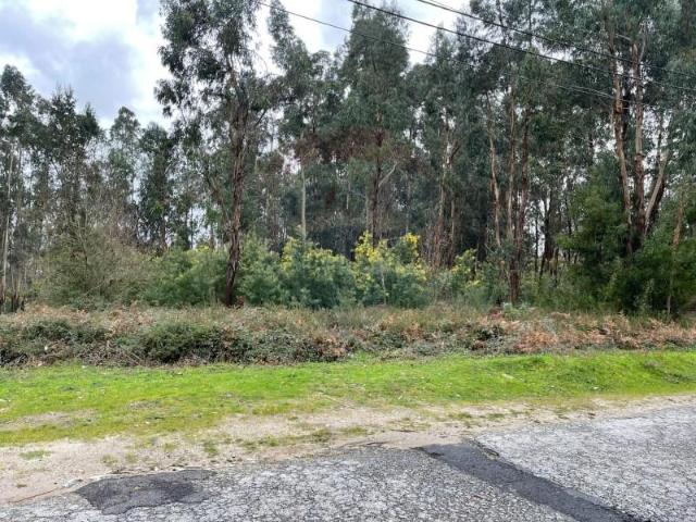 Terreno venda em Arcos De Valdevez, Viana Do Castelo