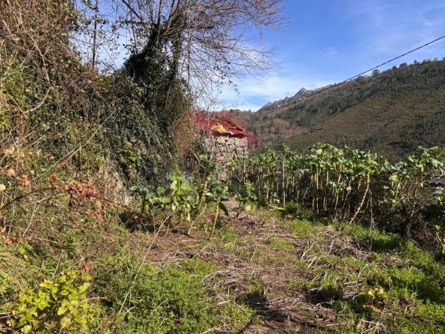 Terreno venda em Arcos De Valdevez, Viana Do Castelo