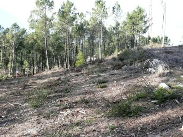 Terreno venda em Boalhosa, Viana Do Castelo