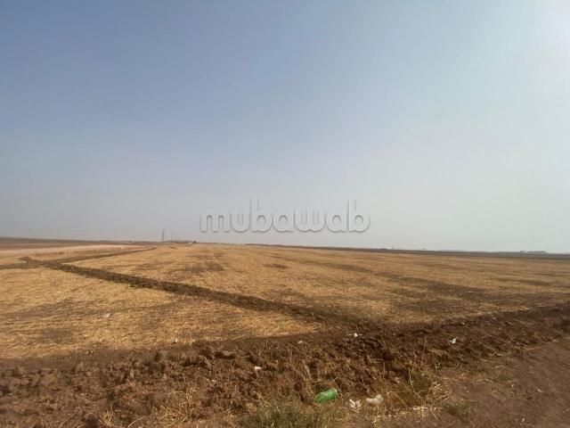Terrain vente à Berrechid, Gharb-Chrarda-Beni Hssen