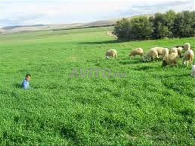 Propriété vente à Settat, Gharb-Chrarda-Beni Hssen