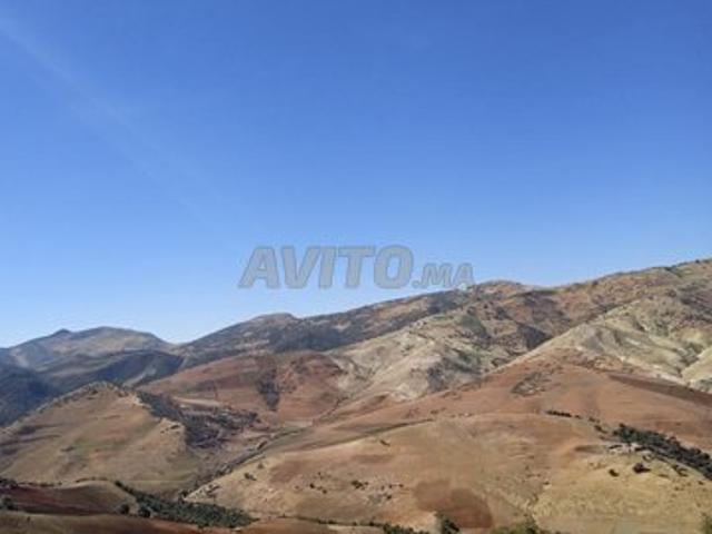 Propriété vente à Mellal