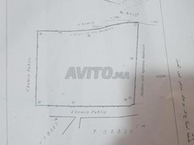 Propriété vente à Tangero, Tanger-Tétouan
