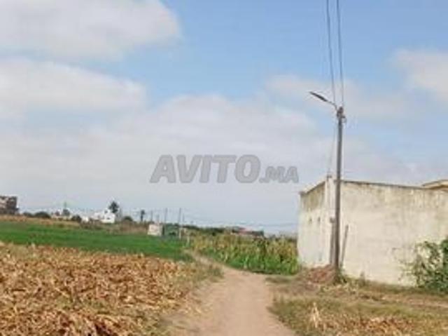 Propriété vente à El Ma, Gharb-Chrarda-Beni Hssen