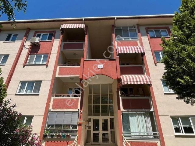 Edirne Merkez, Edirne içerisinde kiralık mülk