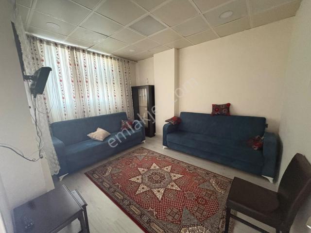 Tokat Merkez, Tokat içerisinde kiralık mülk