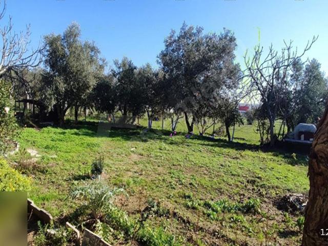 Menderes, İzmir içerisinde satılık Dükkan