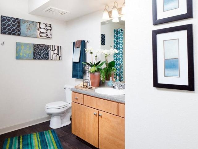 Apartment for rent in Lafayette, Colorado