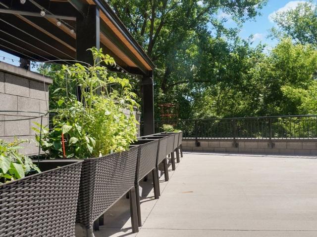 Apartment for rent in Hennepin, Minnesota