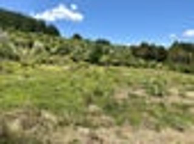 Land for sale in Kawau Island