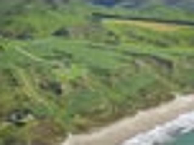 House for sale in Masterton District, Opaki