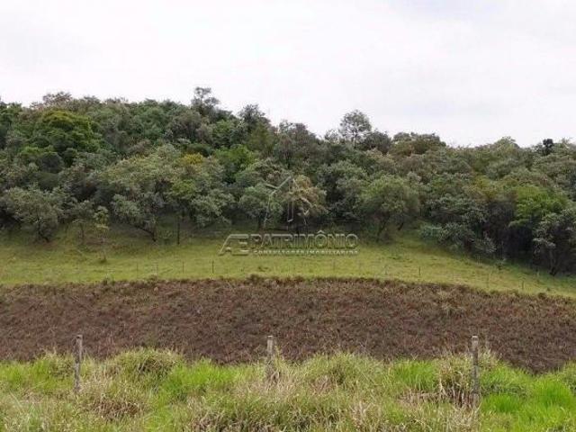Terreno venda em Região Geográfica Imediata de Goiás - Itapuranga, Nova Crixás