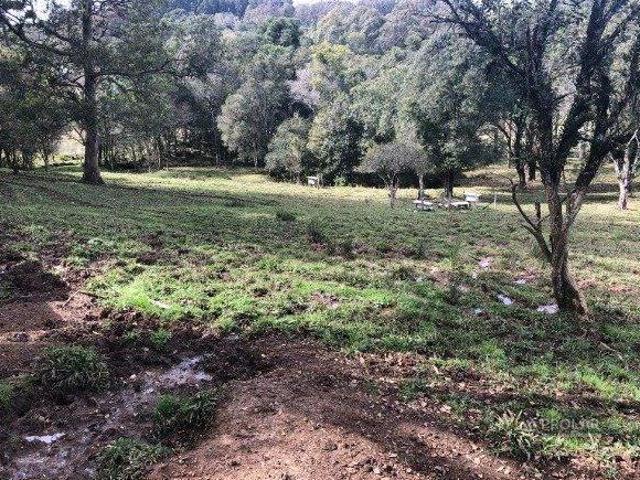 Terreno venda em Região Geográfica Imediata de Caxias do Sul, Caxias do Sul