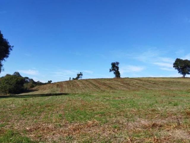 Terreno venda em Região Geográfica Imediata de Curitiba, Região Metropolitana de Curitiba