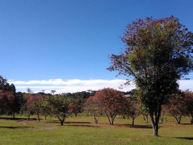 Terreno venda em Região Geográfica Imediata de Curitiba, Região Metropolitana de Curitiba