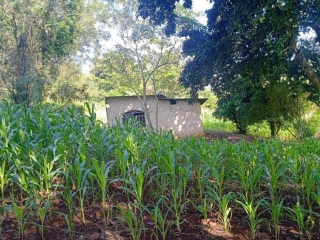 Sítio e chácara venda em Região Geográfica Imediata de Londrina, Londrina