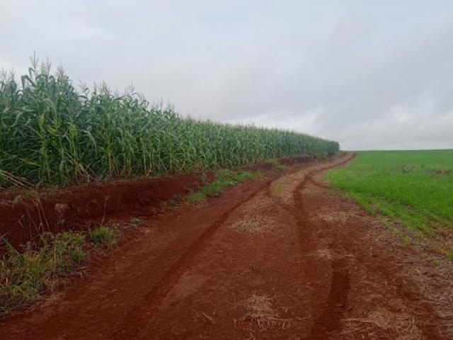 Sítio e chácara venda em Região Geográfica Imediata de Londrina, Londrina