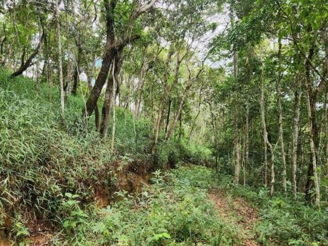 Sítio e chácara venda em Região Geográfica Imediata de Belo Horizonte, Região Metropolitana de Belo Horizonte