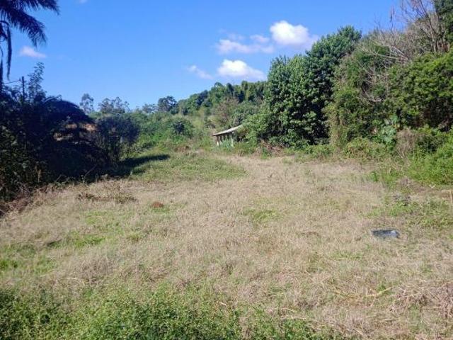 Sítio e chácara venda em Região Geográfica Imediata de Londrina, Londrina