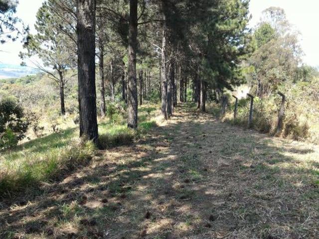 Sítio e chácara venda em Francisco Morato, São Paulo