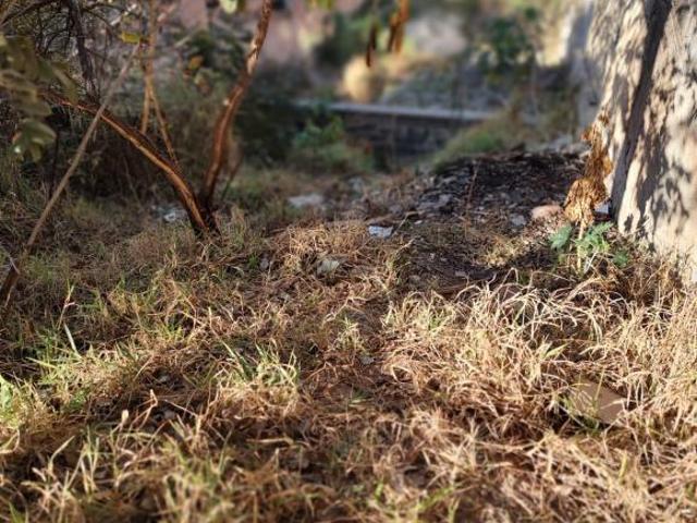 Terreno venda em Região Geográfica Imediata de Belo Horizonte, Região Metropolitana de Belo Horizonte