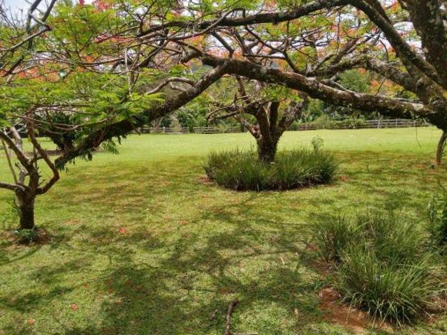 Terreno venda em Região Imediata de Itapeva, Itapeva