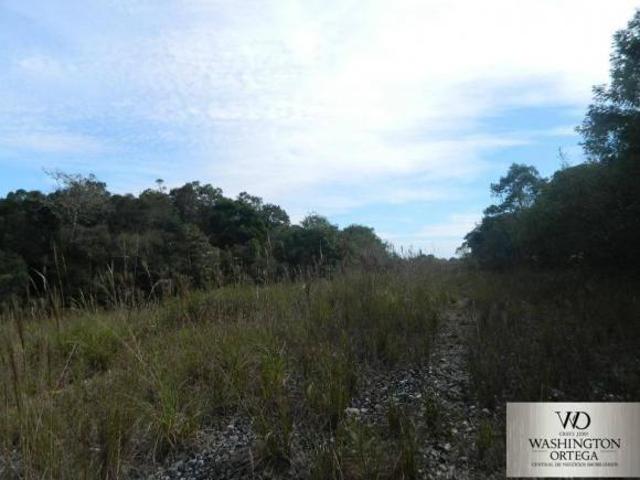 Terreno venda em Região Geográfica Imediata de Curitiba, Região Metropolitana de Curitiba