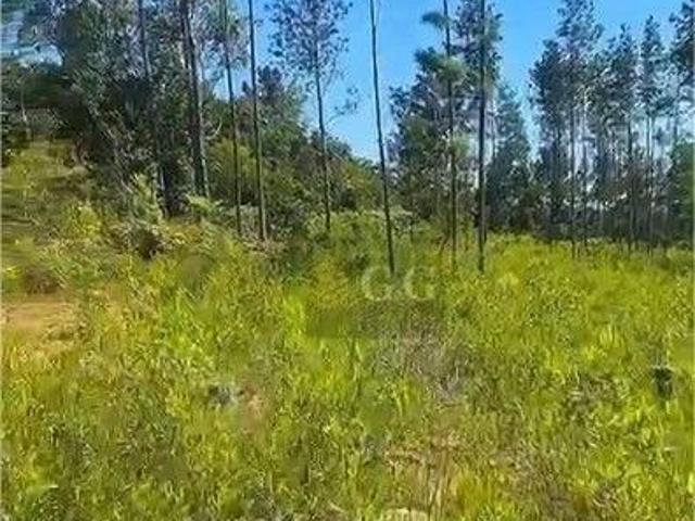 Terreno venda em Região Geográfica Imediata de Porto Alegre, Região Metropolitana de Porto Alegre