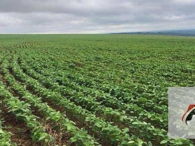 Terreno venda em Região Geográfica Imediata de Curitiba, Região Metropolitana de Curitiba