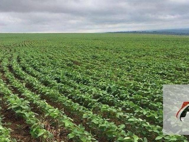 Terreno venda em Região Geográfica Imediata de Curitiba, Região Metropolitana de Curitiba