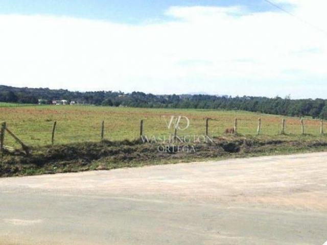 Terreno venda em Região Geográfica Imediata de Curitiba, Região Metropolitana de Curitiba