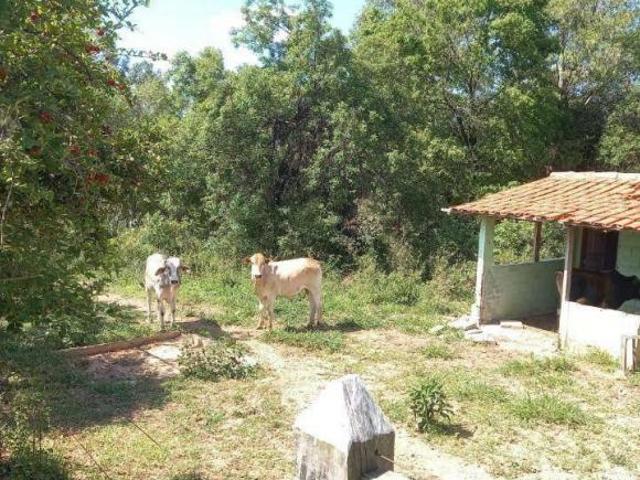 Terreno venda em Região Imediata de Sorocaba, Região Metropolitana de Sorocaba
