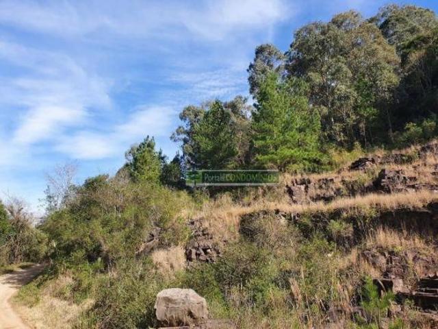 Terreno venda em Região Geográfica Imediata de Nova Prata - Guaporé, Paraí