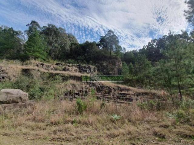 Terreno venda em Região Geográfica Imediata de Nova Prata - Guaporé, Paraí