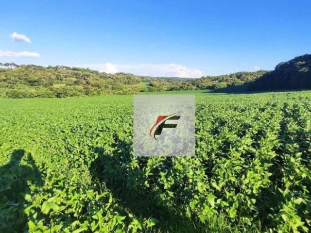 Terreno venda em Região Geográfica Imediata de Curitiba, Região Metropolitana de Curitiba