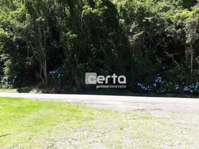 Terreno venda em Região Geográfica Imediata de Caxias do Sul, São Francisco de Paula