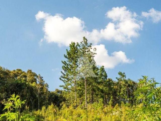 Terreno venda em Ferraria, Campo Largo