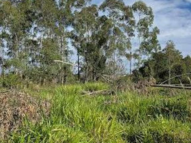 Terreno venda em Região Imediata de Guaratinguetá, Região Metropolitana do Vale do Paraíba e Litoral Norte