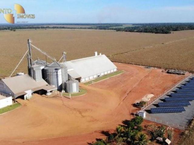 Terreno venda em Região Geográfica Imediata de Diamantino, Diamantino